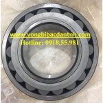 VÒNG BI 22224 RZW33 C3